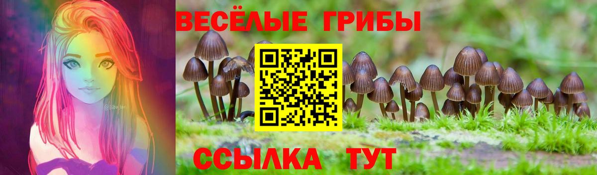 Бердск  Галлюциногенные грибы GOLDEN TEACHER  Вход с VPN 
